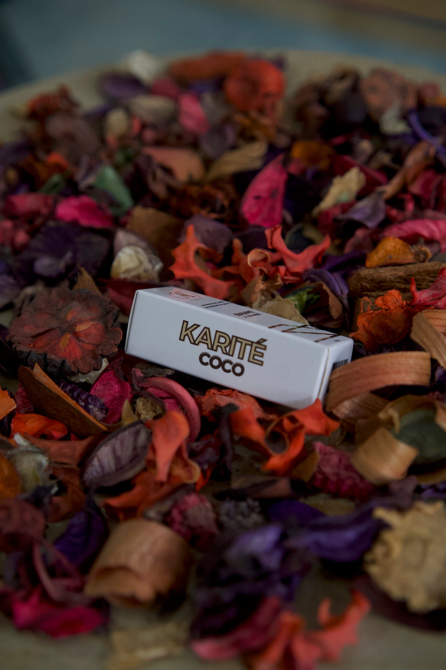 Karité Coco Baume à lèvres